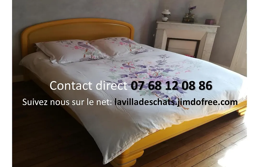La Villa Des Chats-1