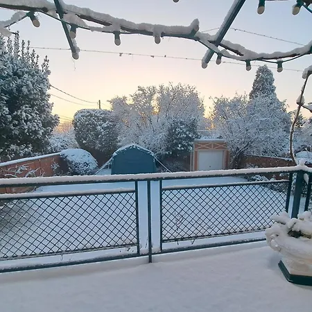 La Villa Des Chats-2